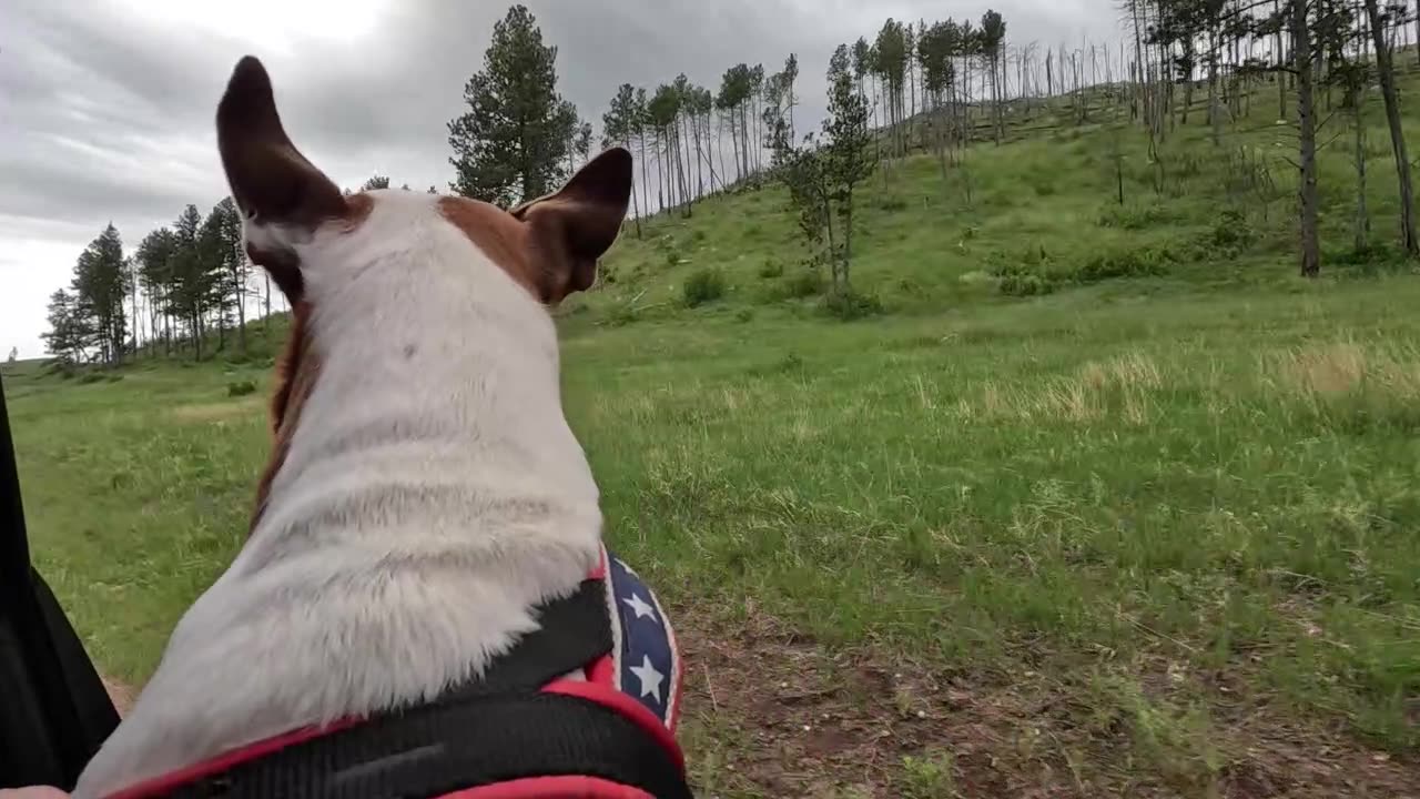 Letting the wind blow through my ears