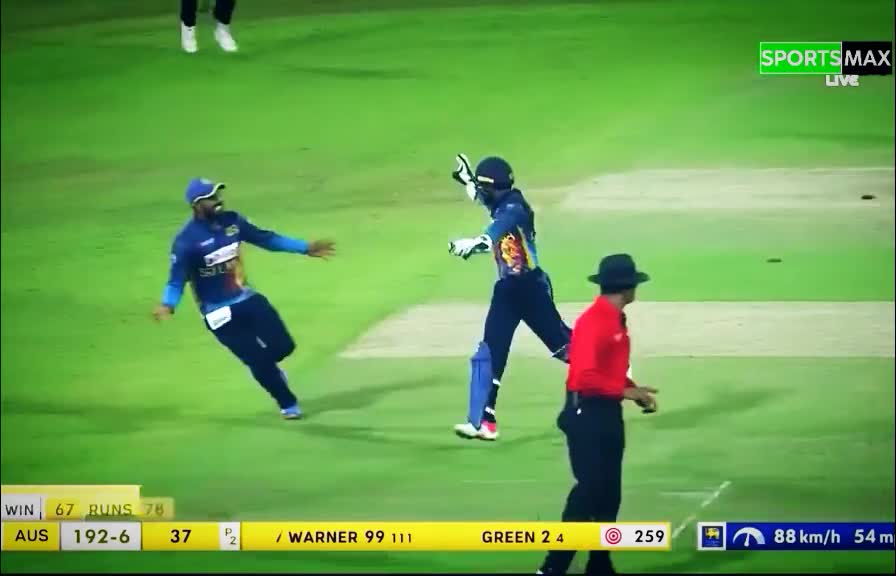 fans-video cricket lovers-video #cricket #cricketlover