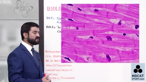 LEC#13 MUSCLES