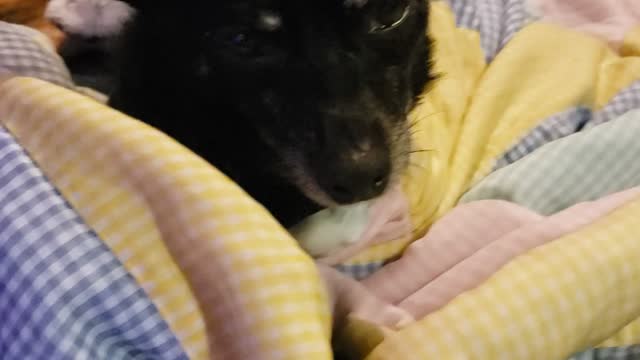 Grandma's love - spread it to everyone