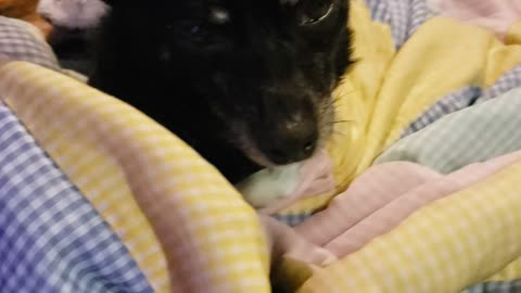 Grandma's love - spread it to everyone