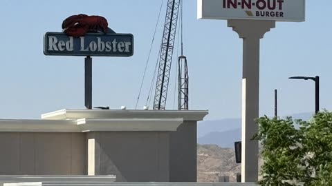 New Chick-fil-A Locations Are Coming to Santa Clarita – Here’s the Scoop! #santaclarita #realestate