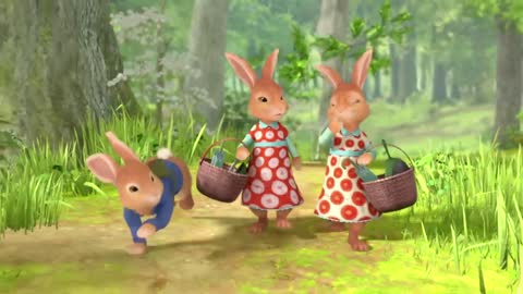 Little Rabbit Bedtime Stories