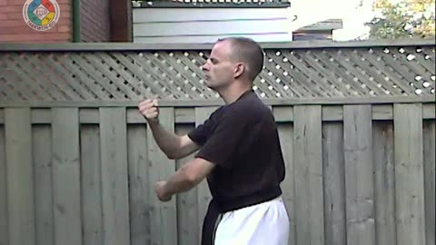 Taekwondo: Hapkido: Foundations: 9-Shaped-block-side-view