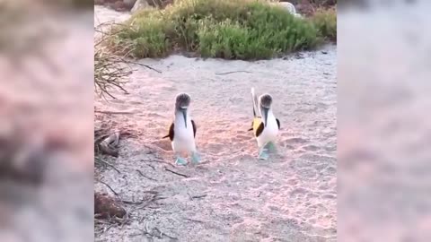 When I'm old, I'm going to walk on the beach with my other half