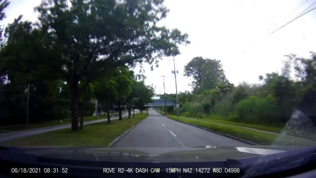 Wildlife In The Lower Eastside Of Erie