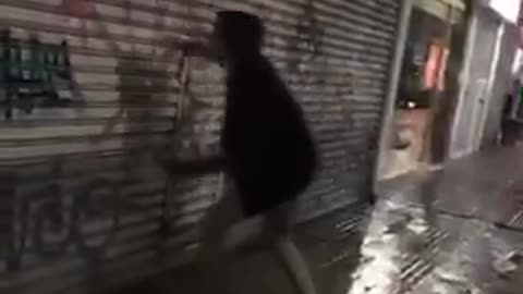 Guy jumps against metal door for bet