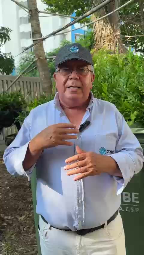 Denuncian hurto y vandalismo contra contenedores de basura en Cartagena