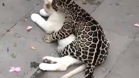 Love in time