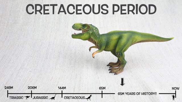 Dinosaur, educative video.