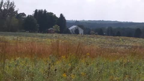 Hiram College Field Study Trails