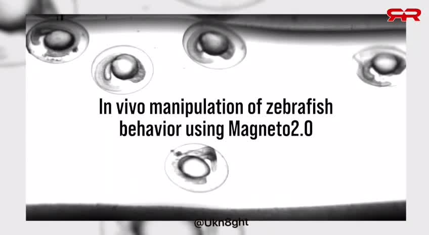 Magnetic Nano Particles and Hydrogel To control Mankind.