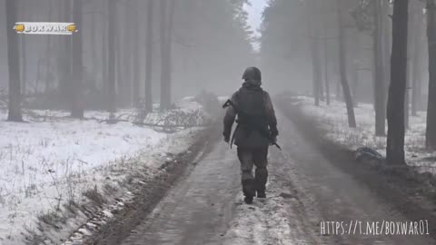 ‼️🇷🇺👊Российские десантники пресекли попытку прорыва украинских подразделений/ЛНР/