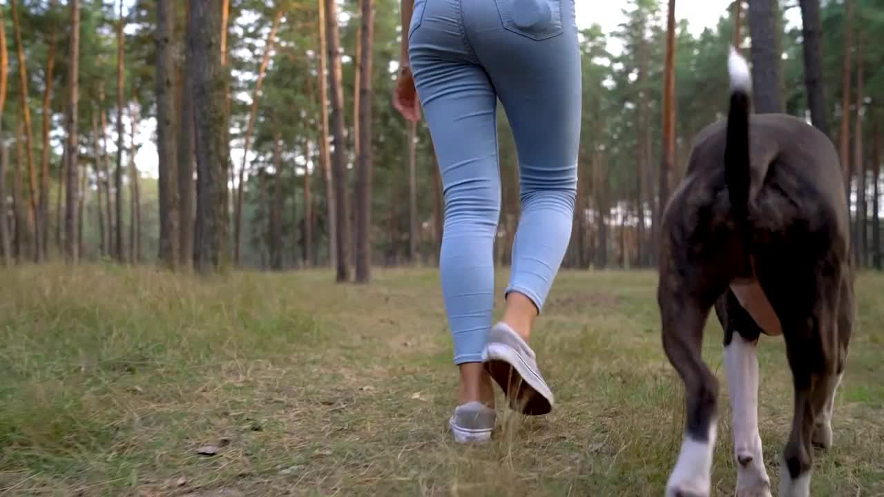 Girl playing with her dog in the forest at sunset