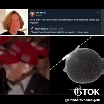 WOULD BE ASSASSIN, REVEALS HE WAS A PAWN