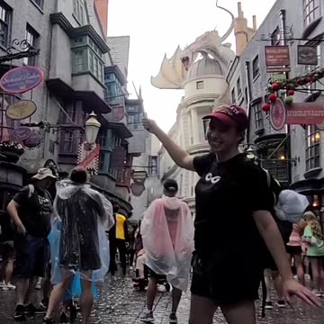 What Is An Adult Harry Potter Fan? #wizardingworld #harrypotter #miriammargoyles #fans