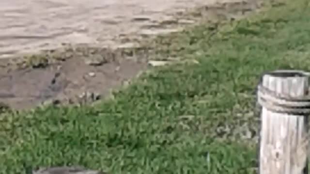 Happy Birthday Su #2