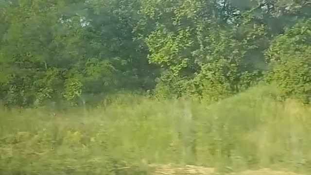 Russian Special Forces of Group "O" and their Tigers on the roads in the LNR