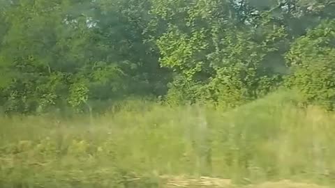 Russian Special Forces of Group "O" and their Tigers on the roads in the LNR