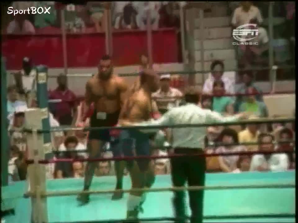 Mike Tyson - 44 Knockouts of the Legend