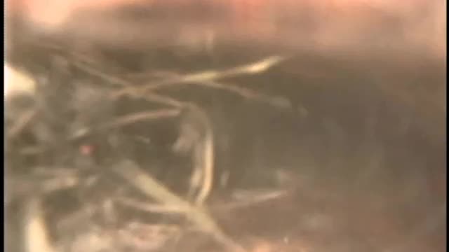 45 Mountain Av Summit Sewer Camera for Gutknecht