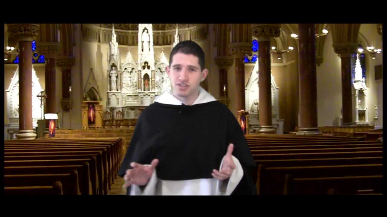 Harry Potter and the Catholic Faith - "All You Need is Love" #10