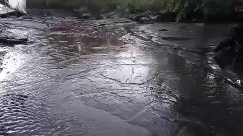 Flash Flood Devastates Home
