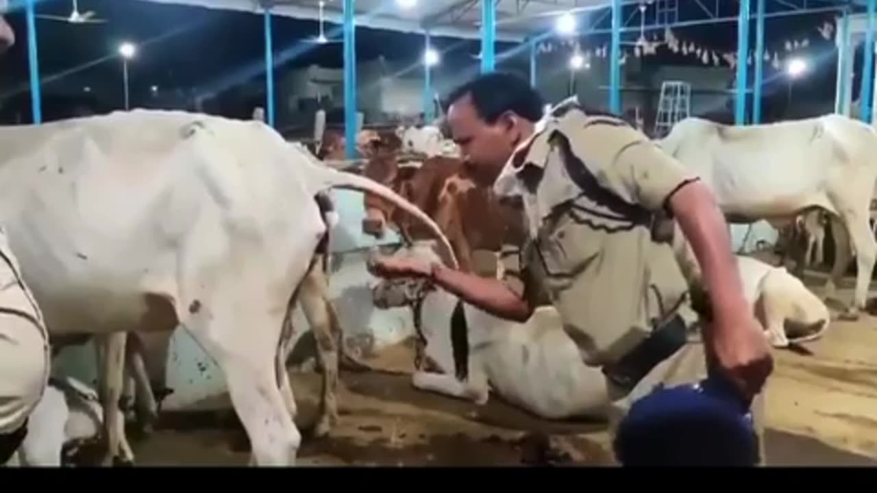 Holy purification process of Indian police