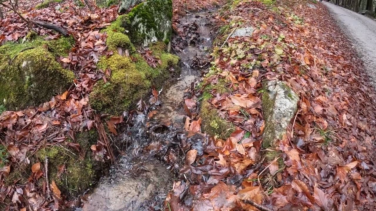 Steady Stream