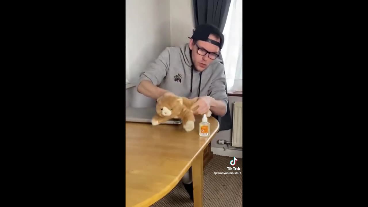funny animals!!!