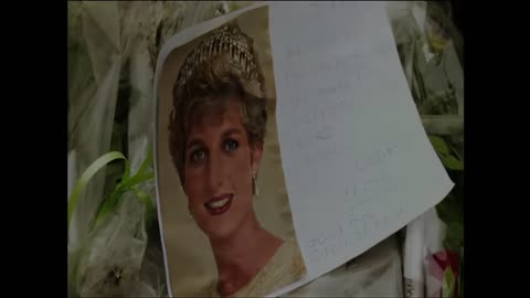 The Organised Assassination of Princess Diana