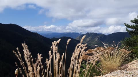 VIEWS FROM THE PLATEAU-14