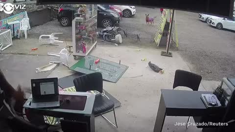 Runaway bull runs amok in Peru shop