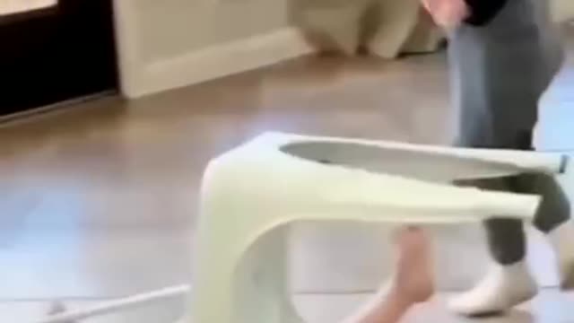 Funny baby viral videos