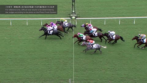 Horse_Race_2022061203_Chinese