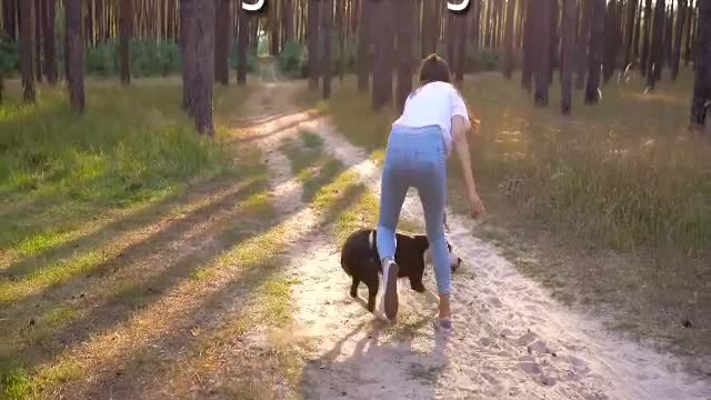 Dog follow girl and playing with her.