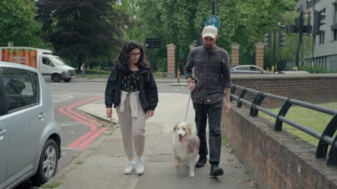 A couple walks with their dog in the city