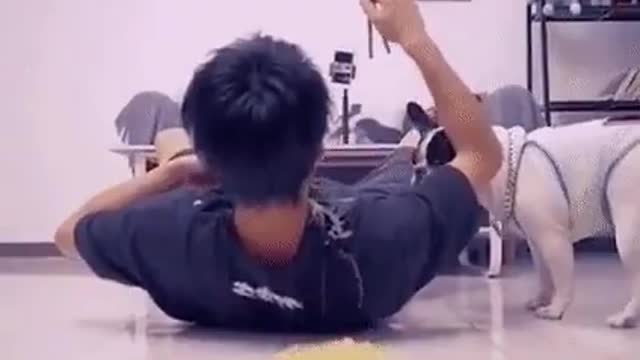 Look what this dog did to his master, it's so funny