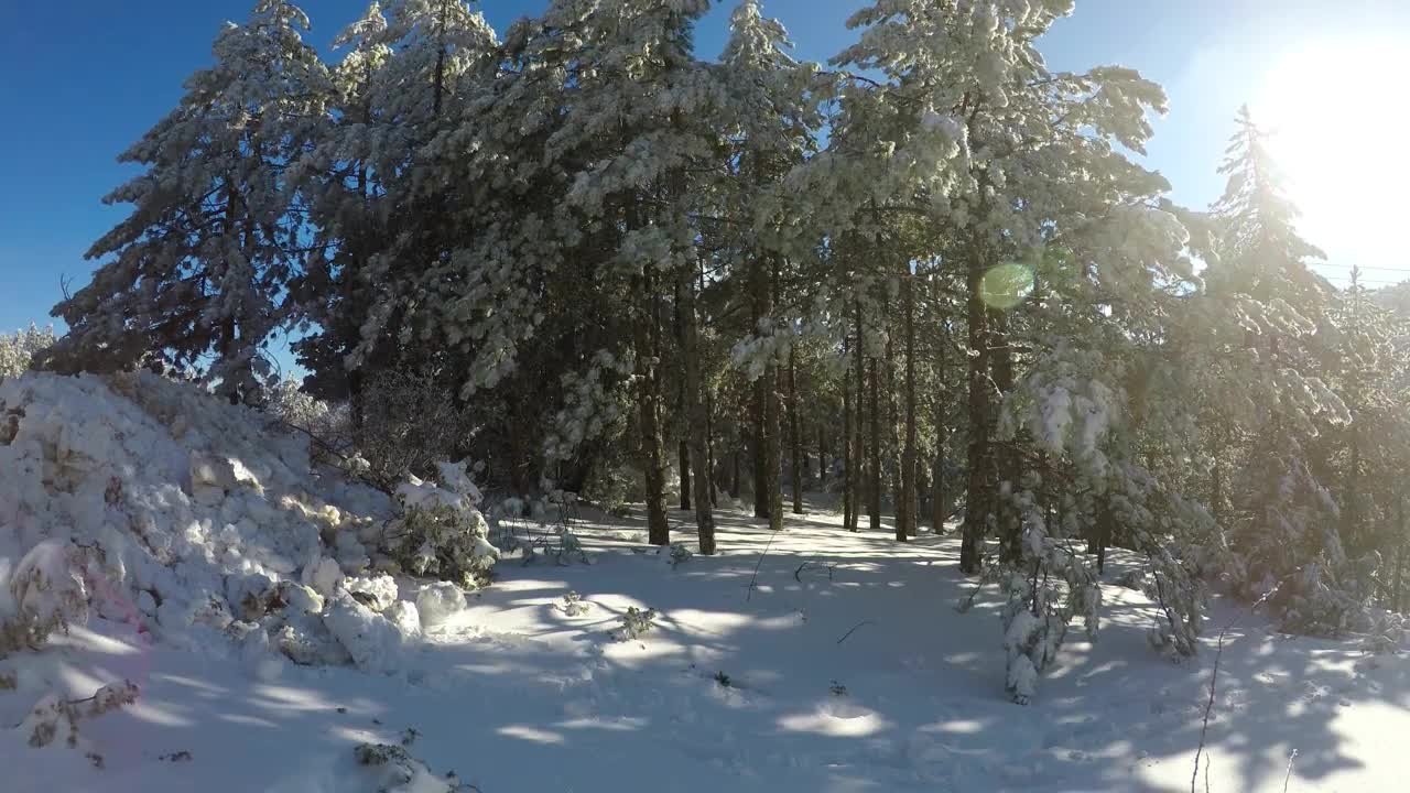 Snowy Landscape - Calm Nature Moments (HIGH QUALITY VIDEO)