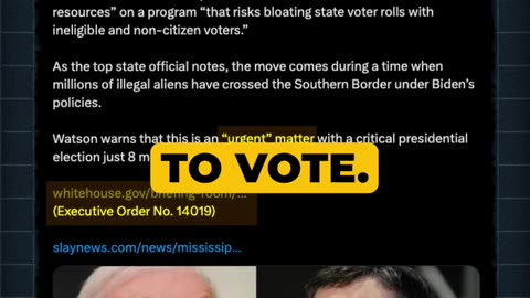 Illegal Immigrants Voting #BorderSecurity #BorderInvasion #ImmigrantVoting