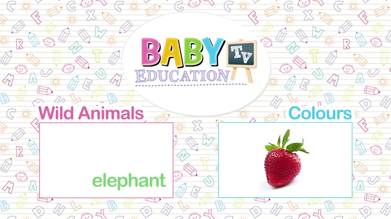 BABY LEARNING ANIMALS - AMAZING EFFECTS