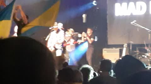Mad Heads live at the Montreal Ukrainian Festival