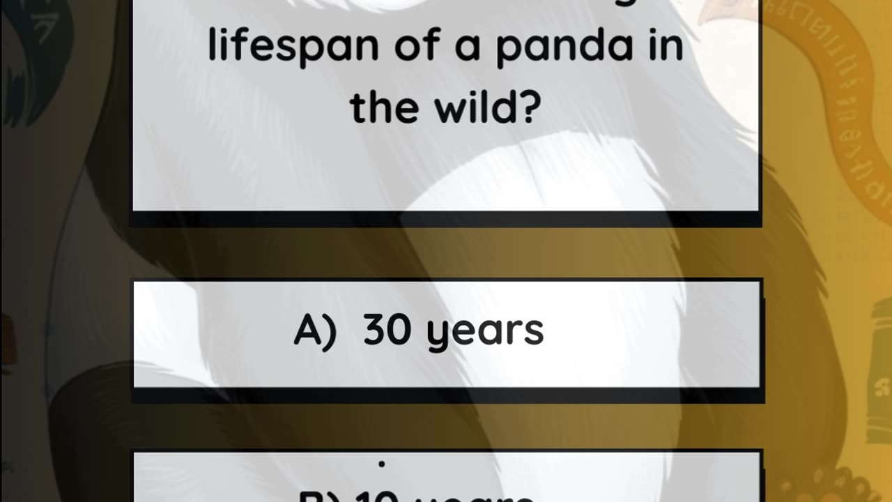 panda quiz