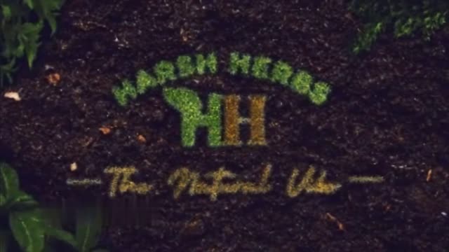 Harsh Herbs Intro video.