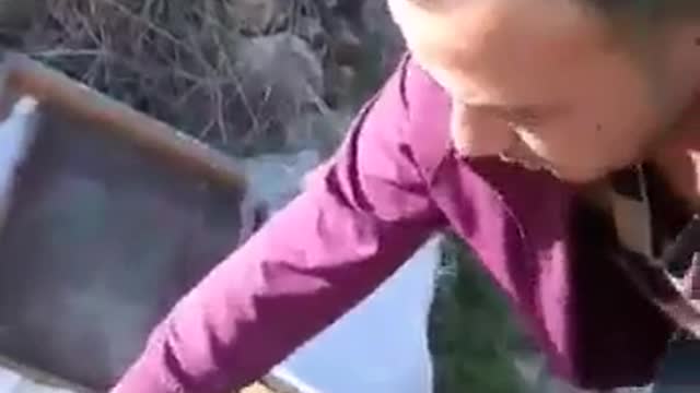 The man who loves bees