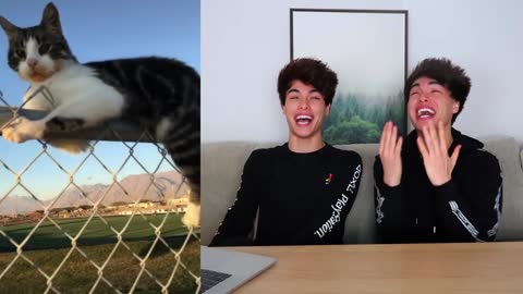 Tiktok compilation (Actually funny)