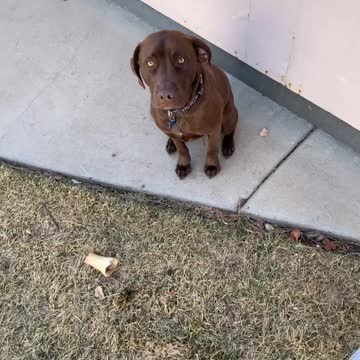 It’s a day in the life