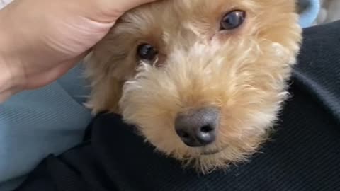 My dog and I are enjoying our relaxing time