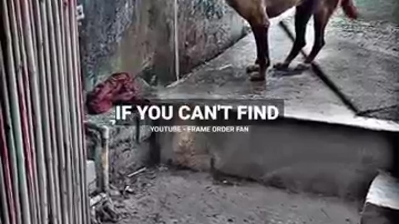 Humanity Sigme Rule/Inspirational Quotel Motivational.....