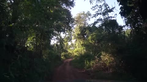 Surviving 3 Days Using Only 1 PESO (THAILAND EDITION) - DAY 2